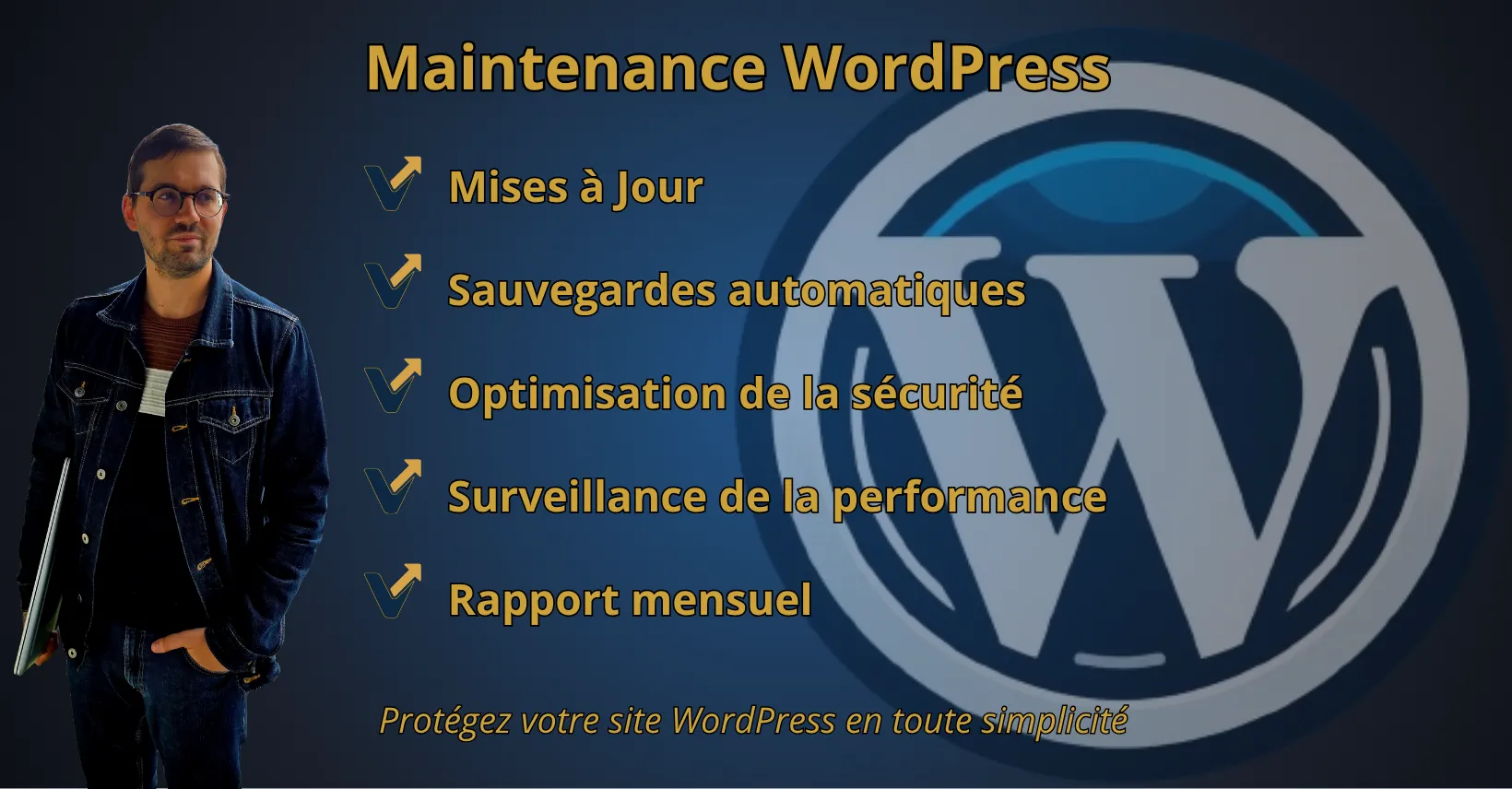 MAINTENANCE WORDPRESS - VIENNE